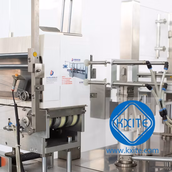 Fully Automatic Automatic Vertical Cartoning Box Pack Carton Machine Disposable Paper Box Packing Machine