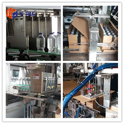 Automatic Packing Machine Case/Carton Packer for Water
